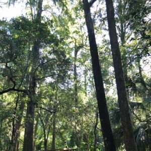 Meet your Posher, Joshua